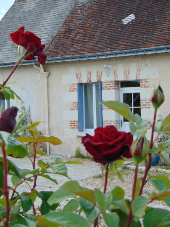 La Ferme Aux Oies Bed & Breakfast Reugny Dış mekan fotoğraf